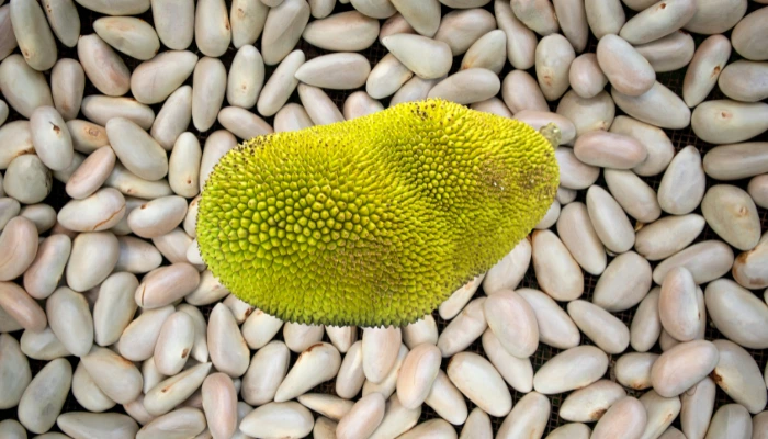 Jackfruit